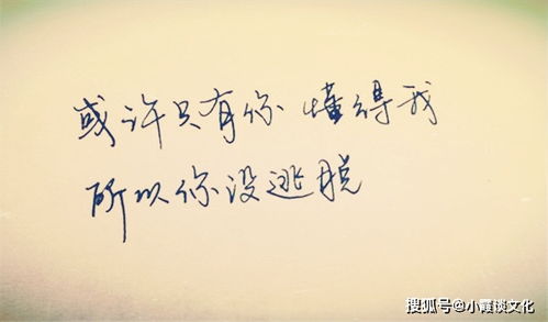 歌词己无法挽回,无法挽回的错，已是过去式