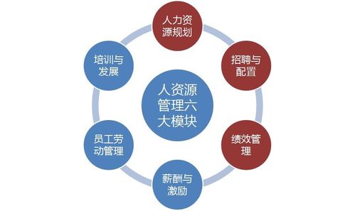 挽回中的服从测试,服从测试：如何挽回你的关系？