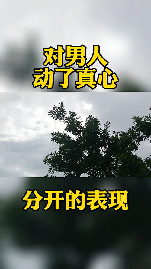 情感挽回和感情修复,挽回失落感情，修补破碎关系