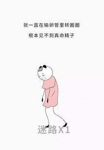 如何挽回巨蟹女概率,挽回巨蟹女必读攻略