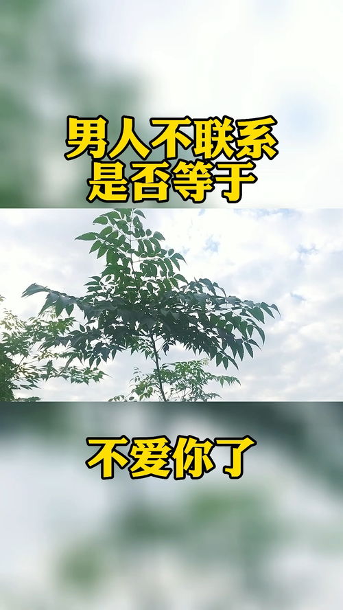 感情淡了挽回树洞,感情疏远了，如何重新点燃爱火