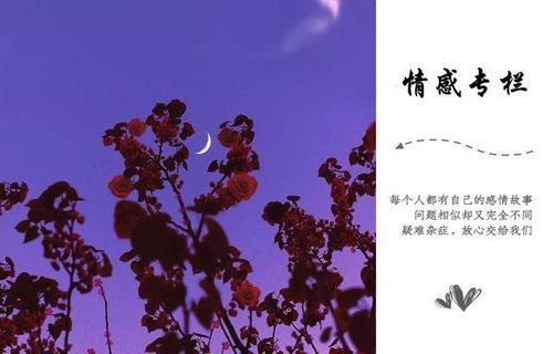 朝花夕拾机构情感挽回,重拾爱情，朝花夕拾情感机构