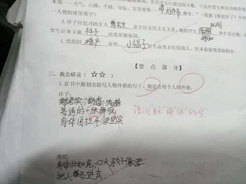 初中退学能挽回吗，初中退学后有什么补救方法？