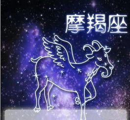 怎么挽回火象星座,如何重新吸引火象星座的关注