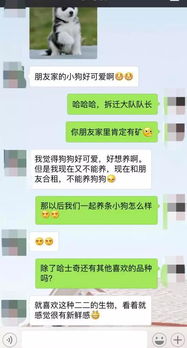 真实挽回女友的短信,成功挽回女友的短信技巧分享