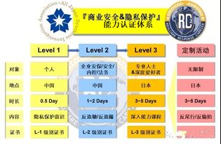 并如何挽回损失，如何避免再次损失？