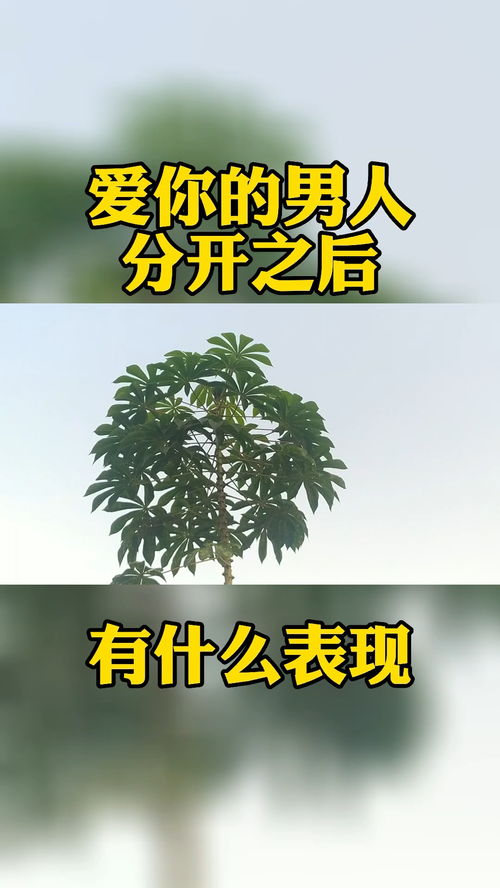 真爱挽回你的表现,如何挽回爱情？