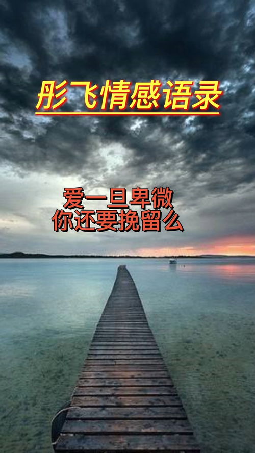 河南感情咨询挽回爱情,河南情感挽回咨询