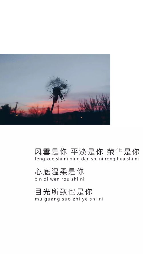 吵架想挽回的歌曲,和解之歌：挽回吵架的心情