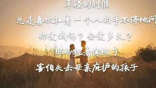 情感语录挽回前任语录,在情感语录中寻找挽回前任的解药