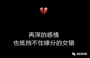 前任挽回我无果,无果的前任挽回计划