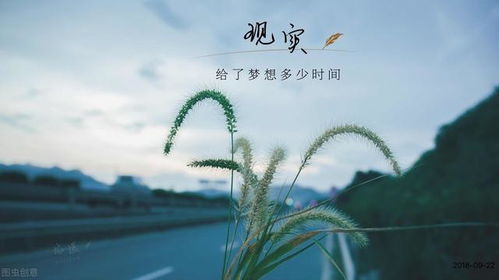 有哪些诗句表达挽回,纵使喧嚣,我亦不忘你的芬芳——诗句表达挽回 有哪些诗句表达挽回,纵使喧嚣,我亦不忘你的芬芳——诗句表达挽回