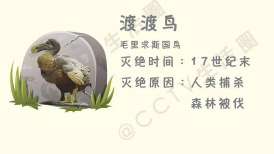 错过38节怎么挽回，如何补救错过38个节日？