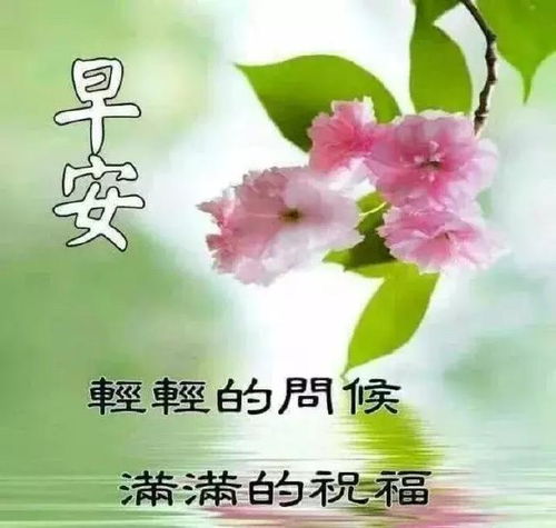 挽回可以发早安吗,如何妥善挽回早安的发出