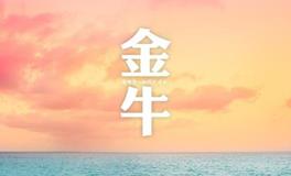 金牛座不挽回,如何挽回金牛座 金牛座不挽回,如何挽回金牛座