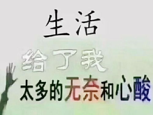 挽回老婆复婚的名言,改过自新，挽回爱情