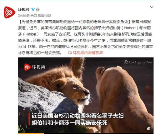 狮子男异地分手挽回,异地分手的狮子男怎样挽回