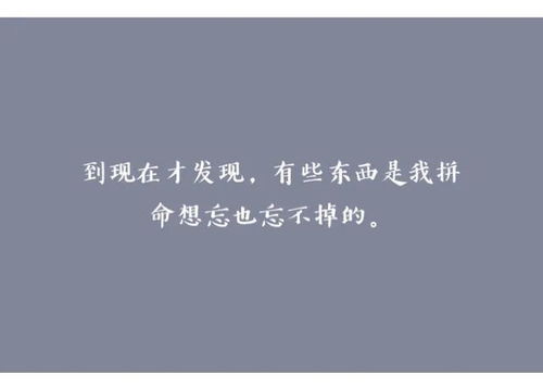 失去没法挽回的句子,无可挽回的遗憾