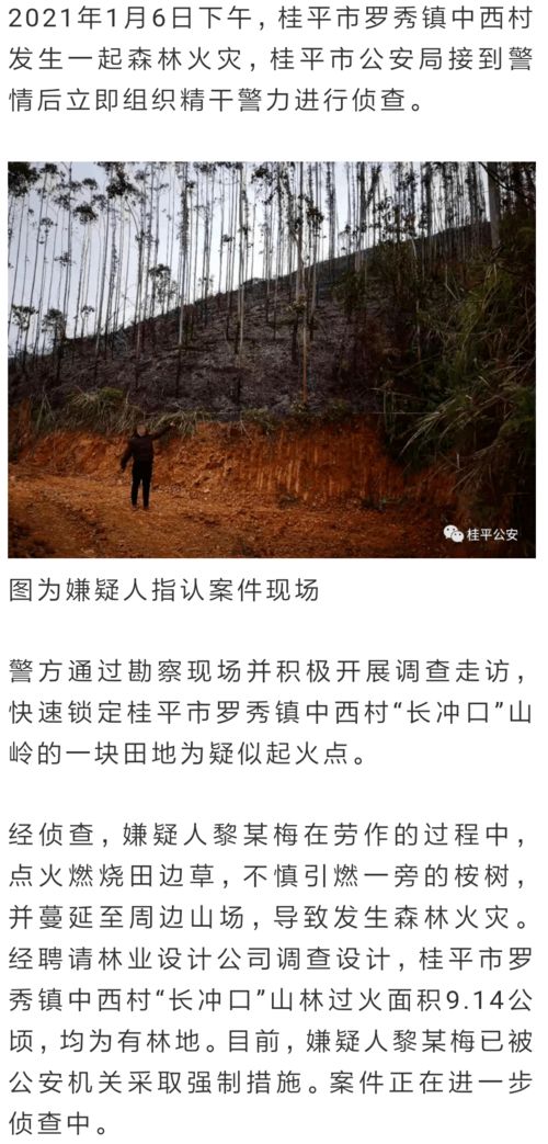 断联多久可以去挽回，重建关系，须知断联多久？